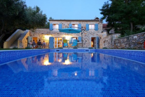Luxury villa with a swimming pool Vir - 18575
